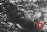 Image of German soldiers capture American soldiers after attacking tanks Western Front European Theater, 1944, second 27 stock footage video 65675076702