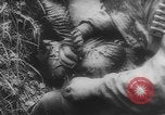 Image of German soldiers capture American soldiers after attacking tanks Western Front European Theater, 1944, second 29 stock footage video 65675076702