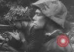 Image of German soldiers capture American soldiers after attacking tanks Western Front European Theater, 1944, second 32 stock footage video 65675076702
