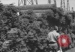 Image of Allied invasion of Europe Europe, 1945, second 11 stock footage video 65675076707