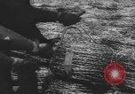 Image of Allied invasion of Europe Europe, 1945, second 21 stock footage video 65675076707