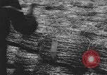 Image of Allied invasion of Europe Europe, 1945, second 22 stock footage video 65675076707