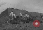 Image of Allied invasion of Europe Europe, 1945, second 50 stock footage video 65675076707