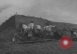 Image of Allied invasion of Europe Europe, 1945, second 51 stock footage video 65675076707