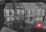 Image of Army Service Forces Washington DC USA, 1945, second 60 stock footage video 65675076708