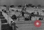 Image of Brehon Somervell United States USA, 1943, second 55 stock footage video 65675076710