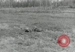 Image of AEF soldiers in trenches France, 1918, second 3 stock footage video 65675076713