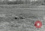 Image of AEF soldiers in trenches France, 1918, second 5 stock footage video 65675076713