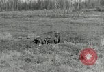 Image of AEF soldiers in trenches France, 1918, second 6 stock footage video 65675076713