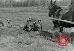 Image of AEF soldiers in trenches France, 1918, second 8 stock footage video 65675076713