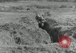 Image of AEF soldiers in trenches France, 1918, second 32 stock footage video 65675076713