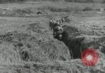 Image of AEF soldiers in trenches France, 1918, second 33 stock footage video 65675076713