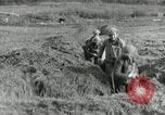 Image of AEF soldiers in trenches France, 1918, second 49 stock footage video 65675076713