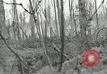 Image of United States soldiers France, 1918, second 47 stock footage video 65675076716