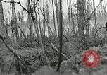 Image of United States soldiers France, 1918, second 50 stock footage video 65675076716