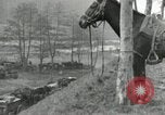 Image of French women France, 1918, second 35 stock footage video 65675076717