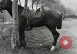 Image of French women France, 1918, second 38 stock footage video 65675076717