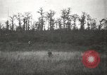 Image of United States soldiers Western Front European Theater, 1918, second 16 stock footage video 65675076729