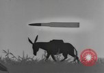 Image of military supply United States USA, 1944, second 53 stock footage video 65675076737