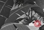 Image of Private Snafu cartoon about hygiene and sanitation United States USA, 1944, second 7 stock footage video 65675076738