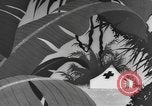 Image of Private Snafu cartoon about hygiene and sanitation United States USA, 1944, second 8 stock footage video 65675076738