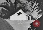 Image of Private Snafu cartoon about hygiene and sanitation United States USA, 1944, second 10 stock footage video 65675076738