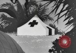 Image of Private Snafu cartoon about hygiene and sanitation United States USA, 1944, second 11 stock footage video 65675076738