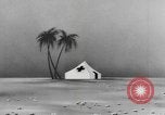 Image of Private Snafu cartoon about hygiene and sanitation United States USA, 1944, second 12 stock footage video 65675076738