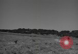 Image of military training United States USA, 1941, second 62 stock footage video 65675076743