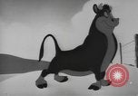 Image of Private Snafu United States USA, 1944, second 14 stock footage video 65675076748