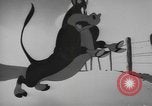 Image of Private Snafu United States USA, 1944, second 17 stock footage video 65675076748