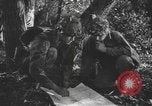 Immagine di Soldati statunitensi United States USA, 1944, secondo 3 filmato di repertorio 65675076750