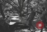 Immagine di Soldati statunitensi United States USA, 1944, secondo 11 filmato di repertorio 65675076751