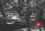 Immagine di Soldati statunitensi United States USA, 1944, secondo 12 filmato di repertorio 65675076751