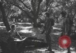 Immagine di Soldati statunitensi United States USA, 1944, secondo 13 filmato di repertorio 65675076751