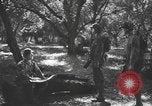 Immagine di Soldati statunitensi United States USA, 1944, secondo 14 filmato di repertorio 65675076751