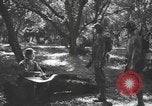 Immagine di Soldati statunitensi United States USA, 1944, secondo 15 filmato di repertorio 65675076751