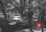 Immagine di Soldati statunitensi United States USA, 1944, secondo 16 filmato di repertorio 65675076751