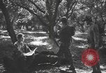 Immagine di Soldati statunitensi United States USA, 1944, secondo 17 filmato di repertorio 65675076751