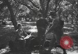 Immagine di Soldati statunitensi United States USA, 1944, secondo 18 filmato di repertorio 65675076751