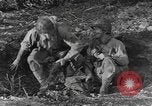 Immagine di Soldati statunitensi United States USA, 1944, secondo 33 filmato di repertorio 65675076752