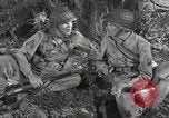 Immagine di Soldati statunitensi United States USA, 1944, secondo 42 filmato di repertorio 65675076752