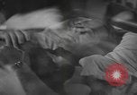 Immagine di Esercito degli Stati Uniti reclute United States USA, 1944, secondo 45 filmato di repertorio 65675076756