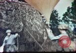Standbild Wettervorhersage United States USA, 1960, aus Sekunde 38 historischem Filmmaterial Videoclip 65675076764