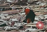 Immagine di Tornado United States USA, 1971, secondo 19 filmato di repertorio 65675076782