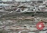Immagine di Tornado United States USA, 1971, secondo 35 filmato di repertorio 65675076782