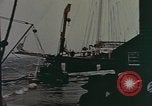 Image des dégâts dus à l'ouragan United States USA, 1958, de la seconde 28 séquences d'archives historiques vidéo 65675076789