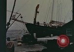 Image des dégâts dus à l'ouragan United States USA, 1958, de la seconde 31 séquences d'archives historiques vidéo 65675076789