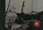 Image des dégâts dus à l'ouragan United States USA, 1958, de la seconde 34 séquences d'archives historiques vidéo 65675076789