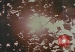Image sombres nuages de tempête de vent majeur United States USA, 1958, de la seconde 4 séquences d'archives historiques vidéo 65675076790